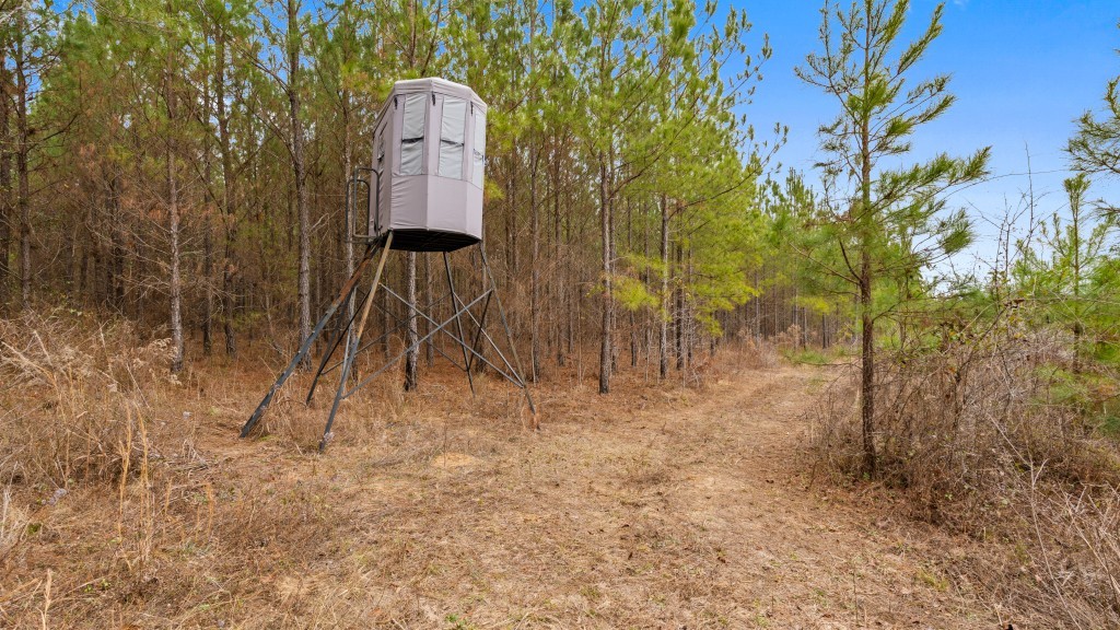 Payne Bottom Timberland Photo