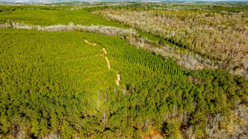 Camp Branch Tract Photo