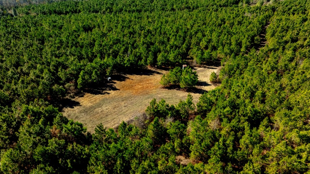 Camp Branch Tract Photo