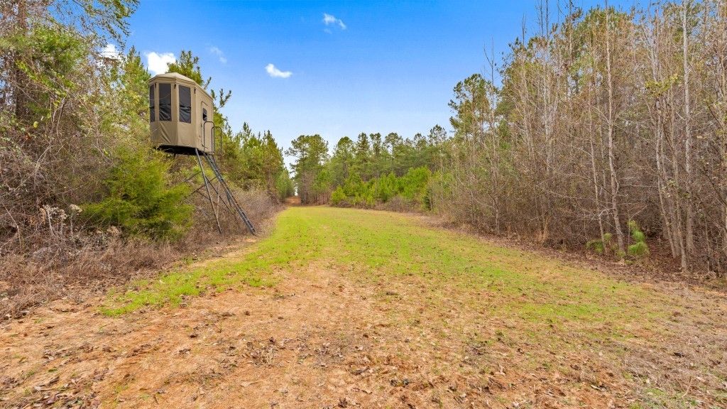 Payne Bottom Timberland Photo