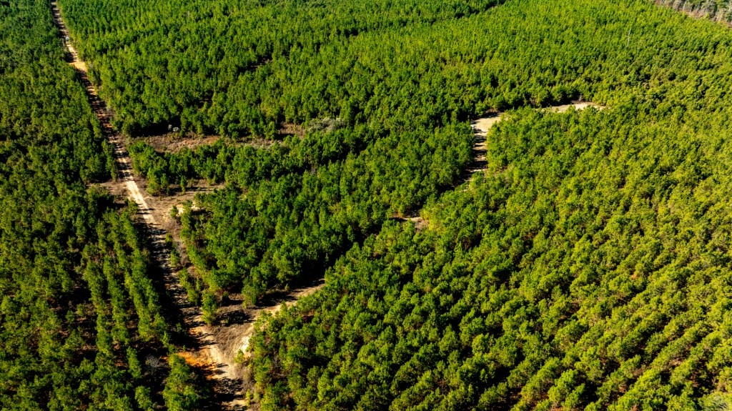 Camp Branch Tract Photo