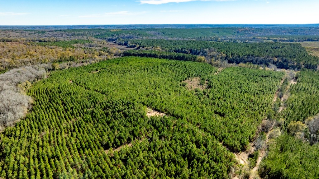 Camp Branch Tract Photo