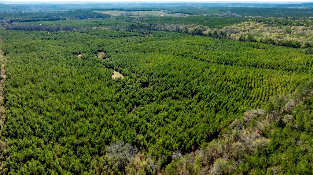 Camp Branch Tract Photo