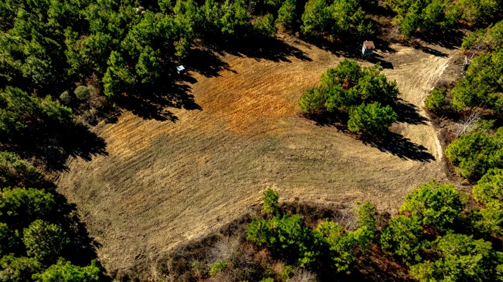 Camp Branch Tract Photo