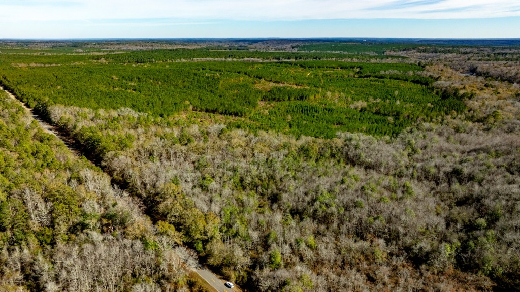 Payne Bottom Timberland Photo