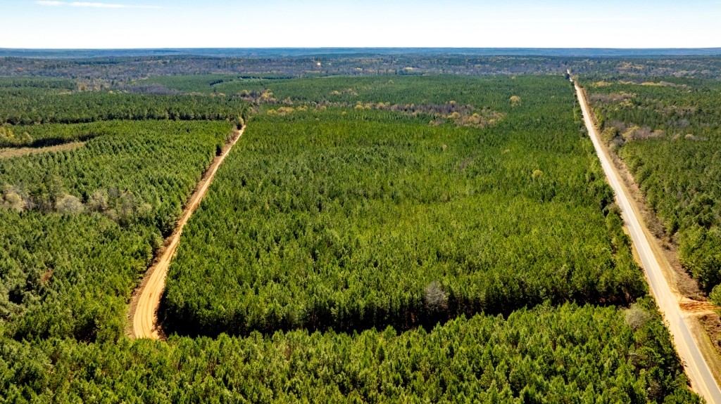 Payne Bottom Timberland Photo