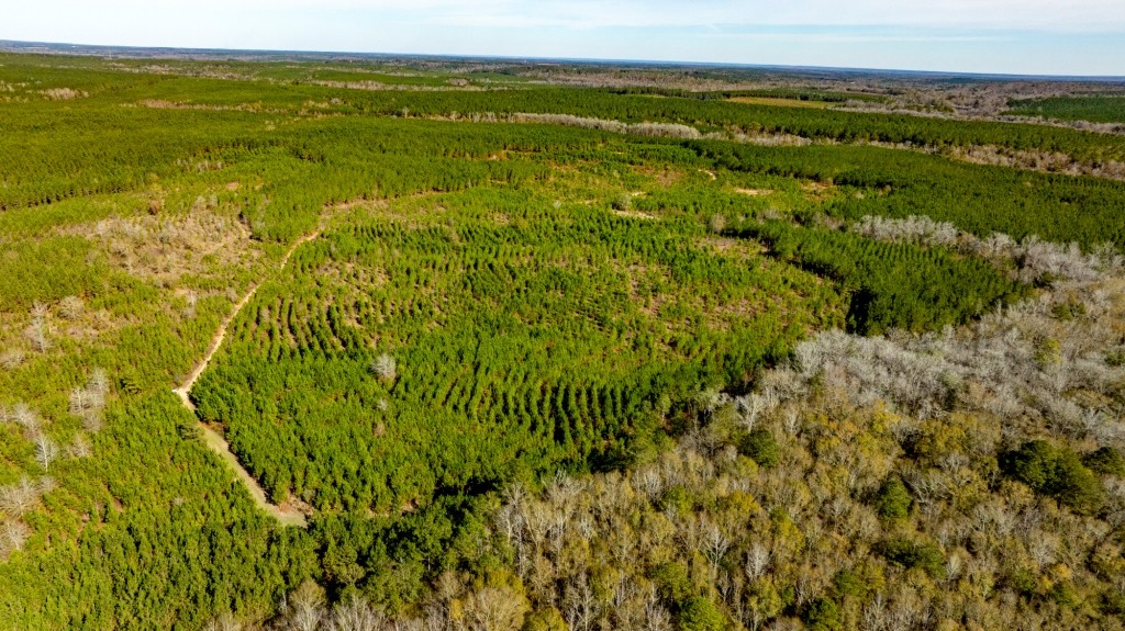 Payne Bottom Timberland Photo