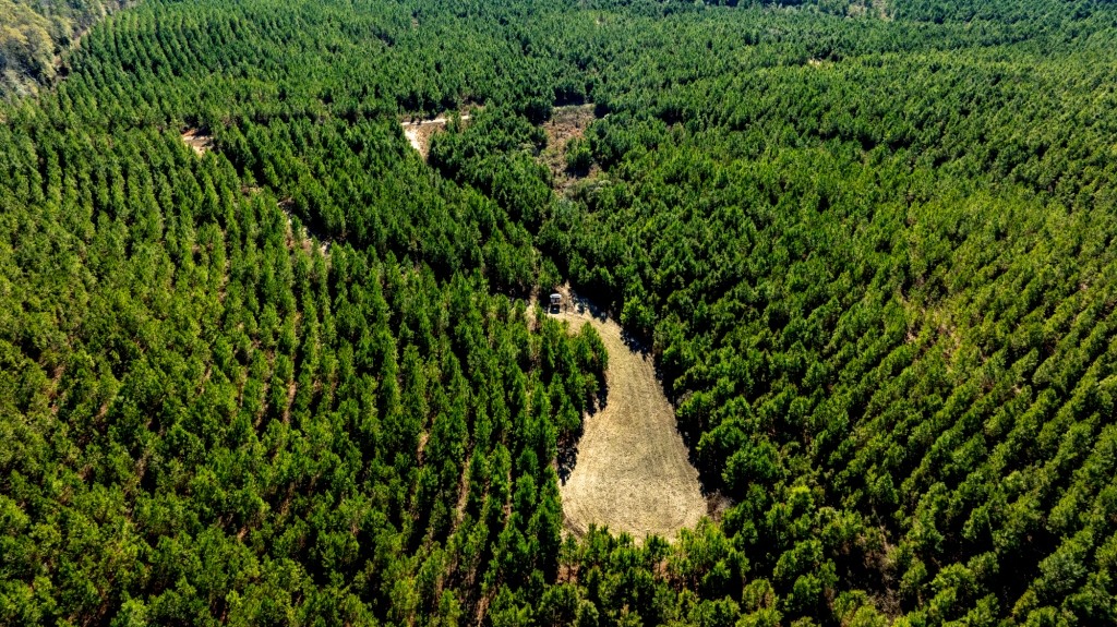 Camp Branch Tract Photo