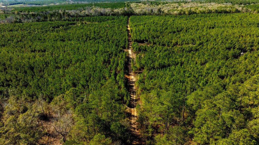 Camp Branch Tract Photo