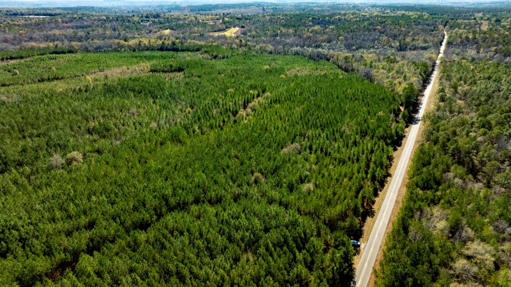 Payne Bottom Timberland Photo