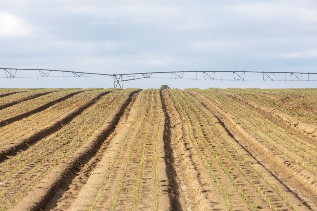George Hill Road Farm Photo