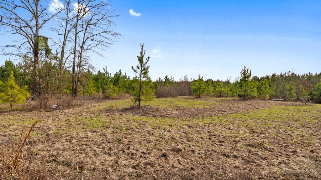 Payne Bottom Timberland Photo