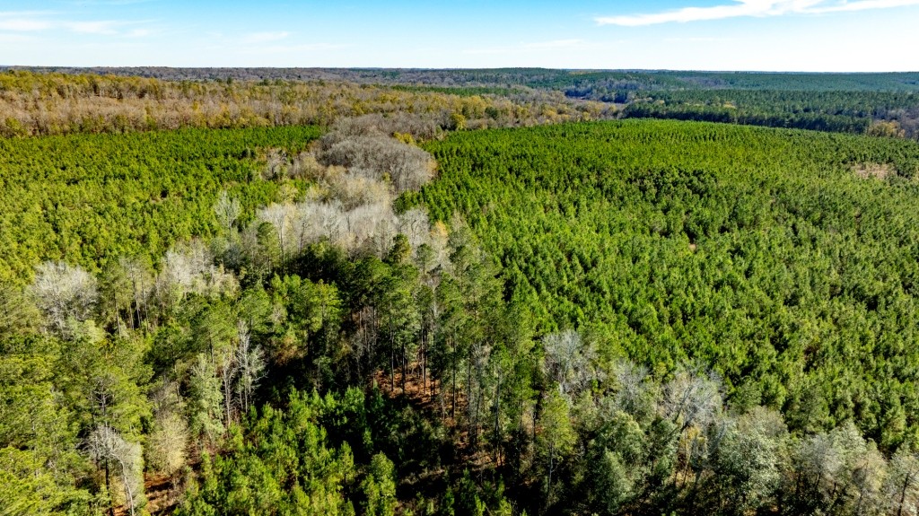 Camp Branch Tract Photo