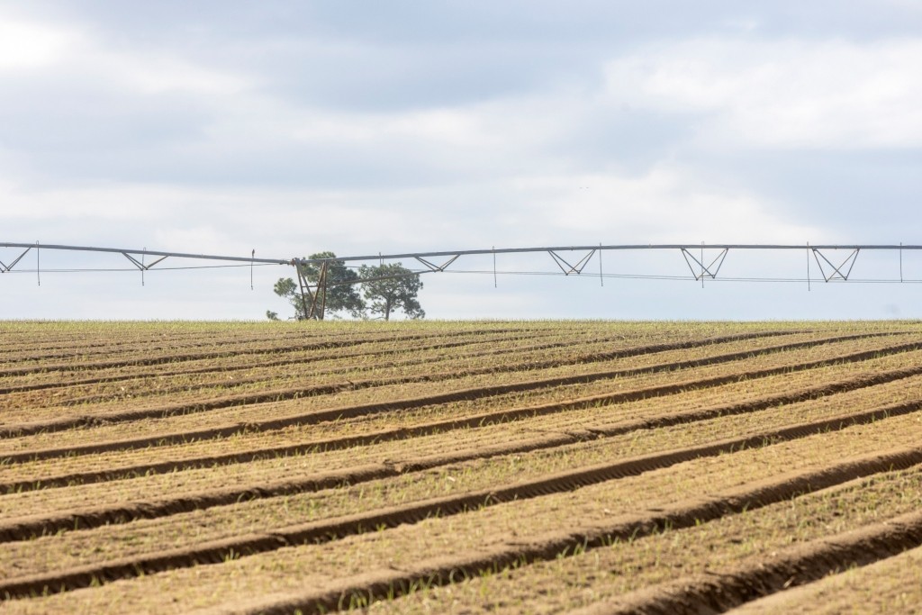 George Hill Road Farm Photo