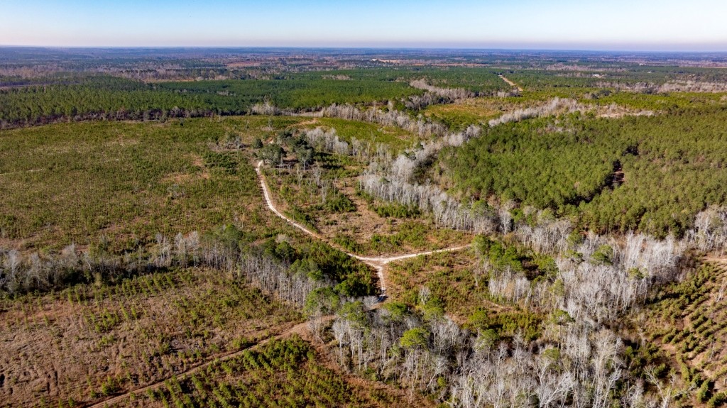 Buck Creek Timber Photo