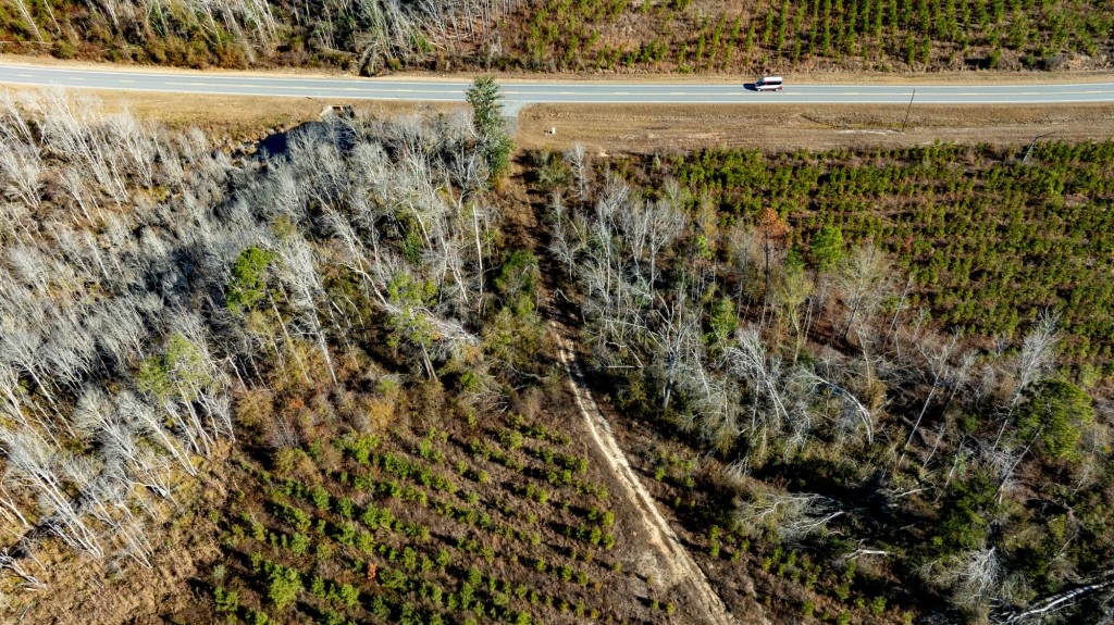 Buck Creek Timber Photo