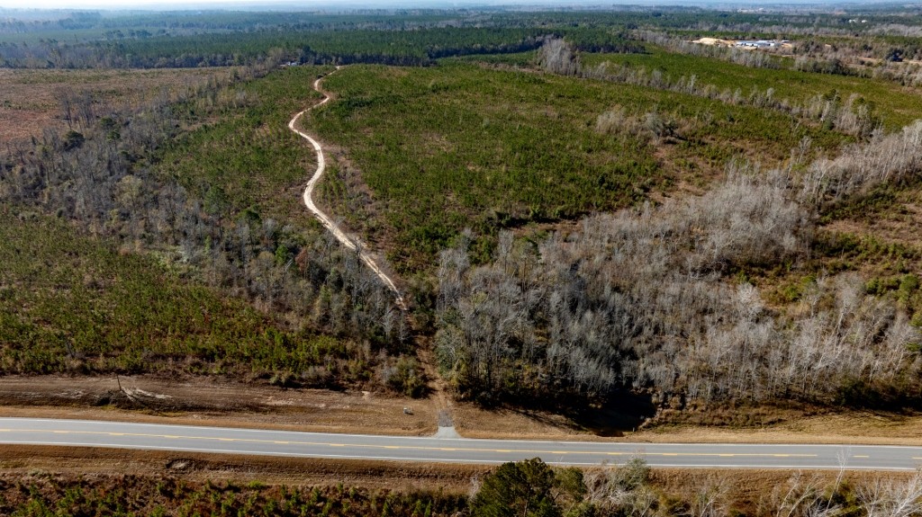 Buck Creek Timber Photo
