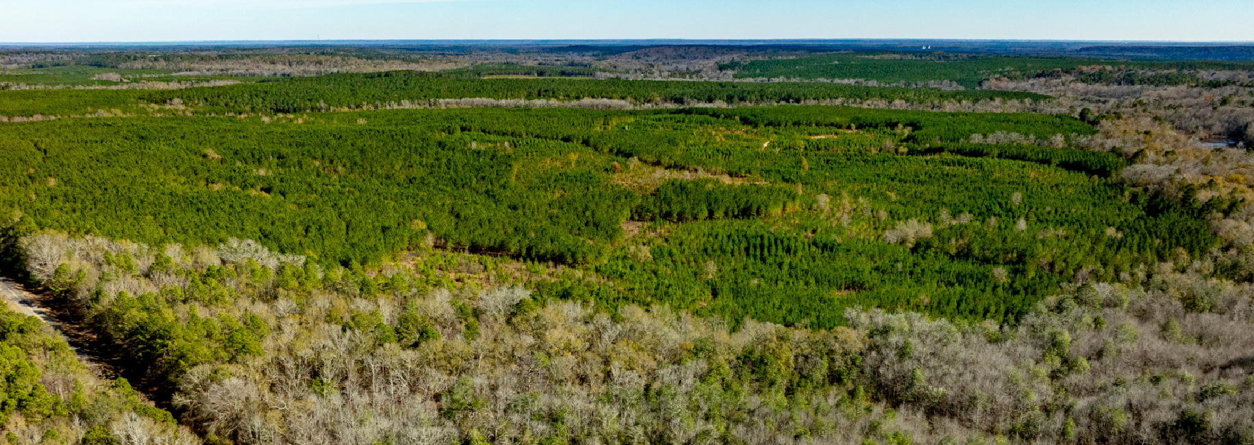 Payne Bottom Timberland Main Photo