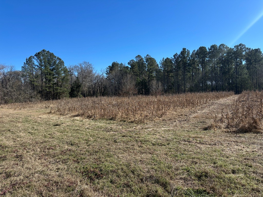 Hiltonia Hardwoods Photo