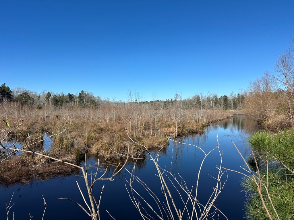 Hiltonia Hardwoods Photo