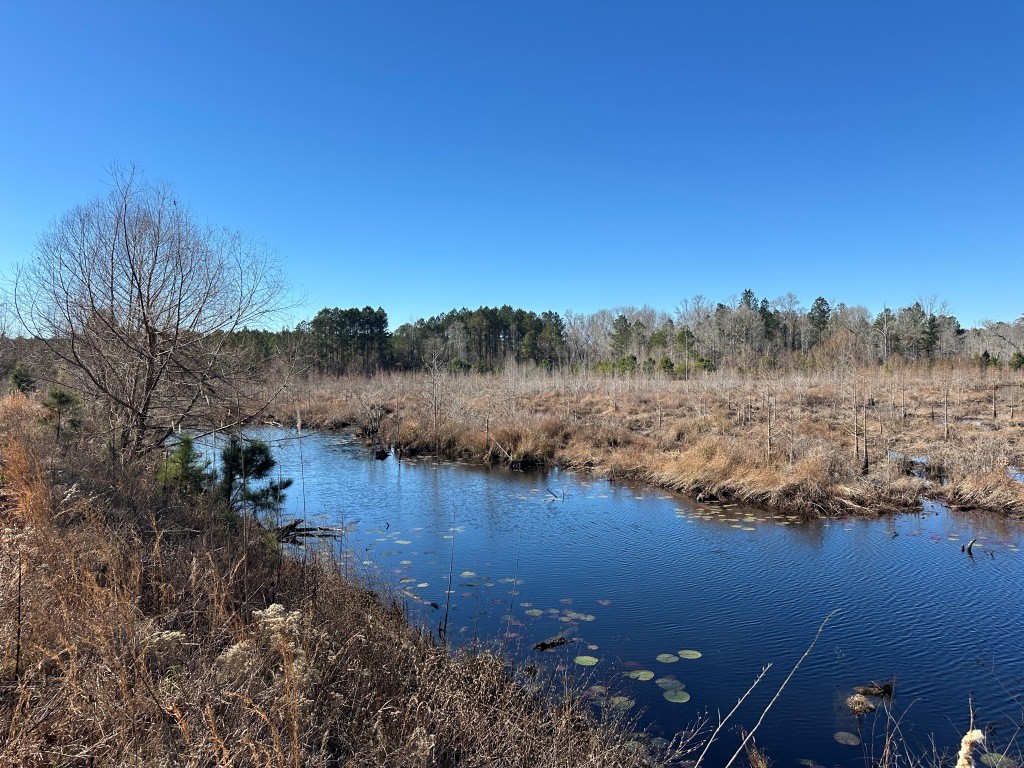 Hiltonia Hardwoods Photo