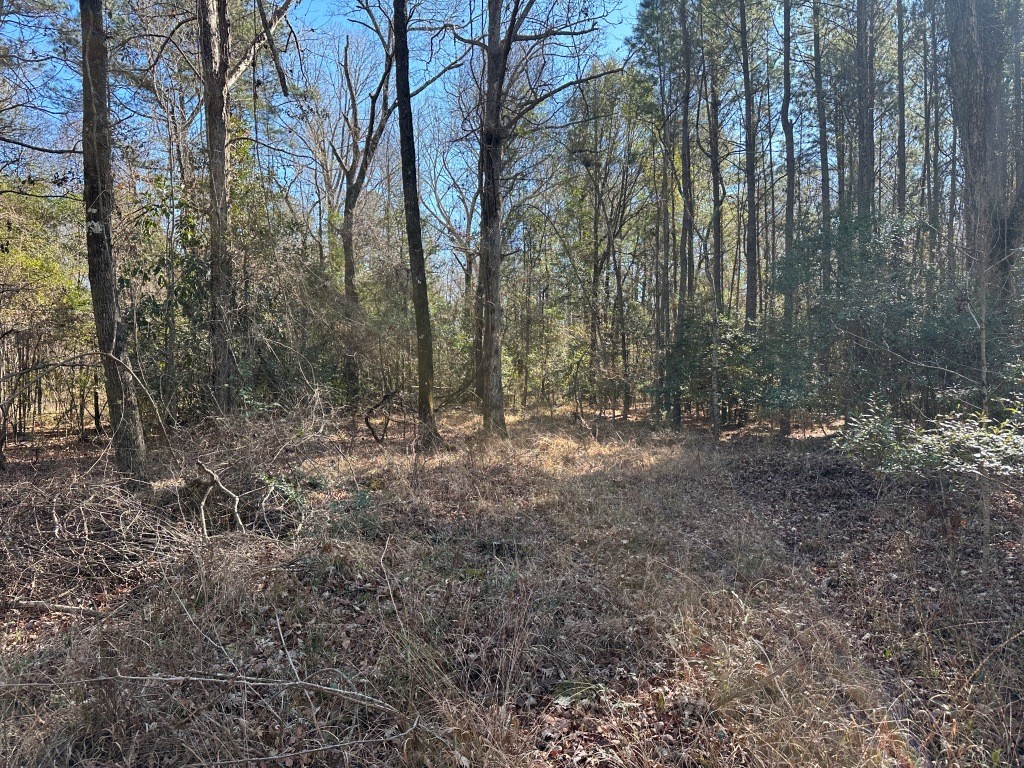 Hiltonia Hardwoods Photo