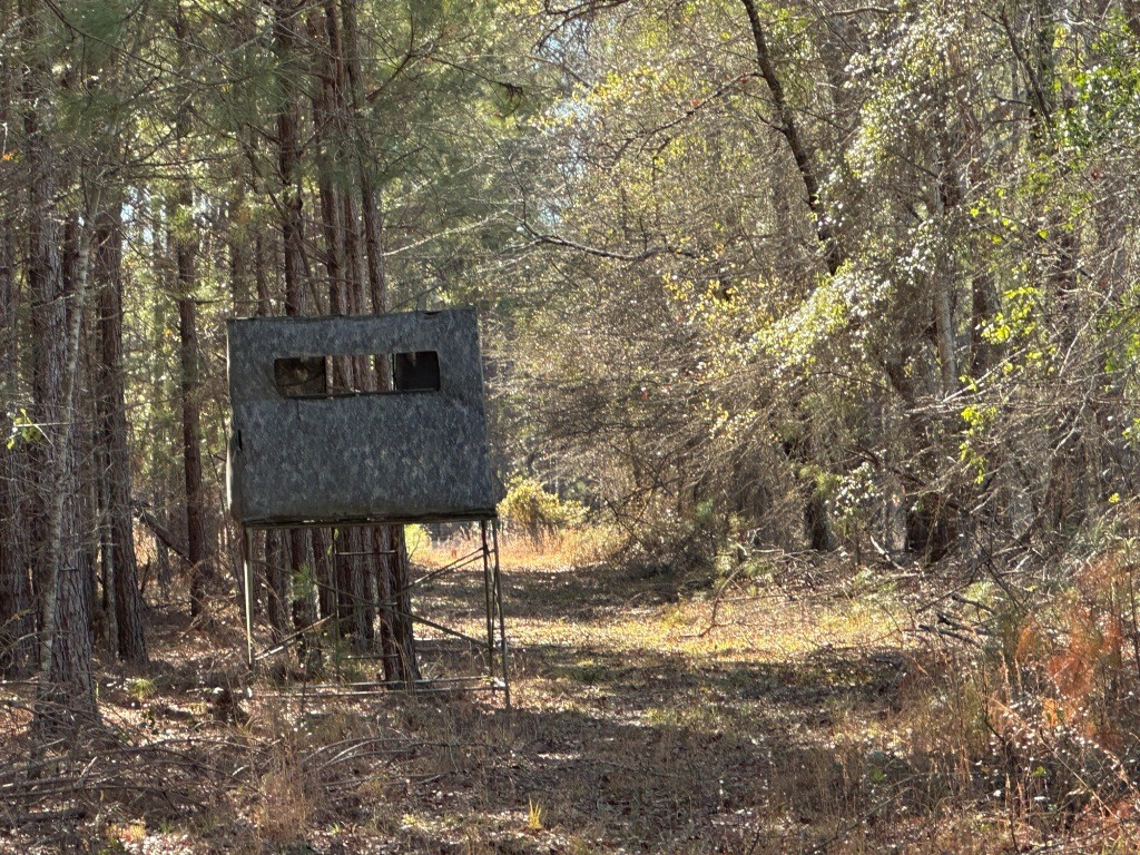 Hiltonia Hardwoods Photo