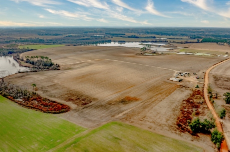 George Hill Road Farm