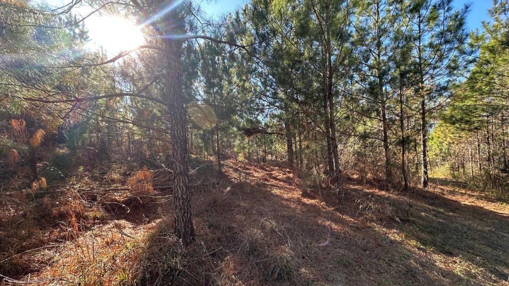 Griffin Landing Photo