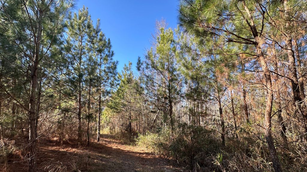 Griffin Landing Photo