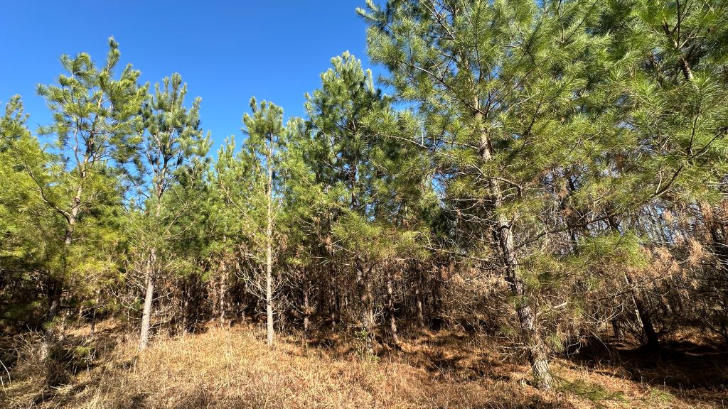 Griffin Landing Photo