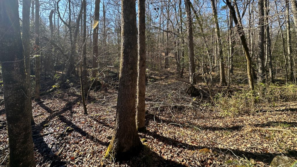 Griffin Landing Photo