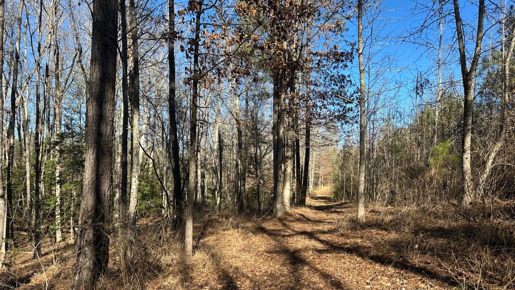 Griffin Landing Photo