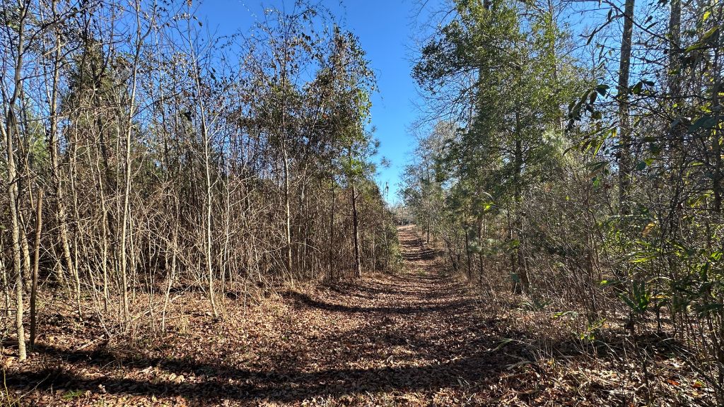 Griffin Landing Photo