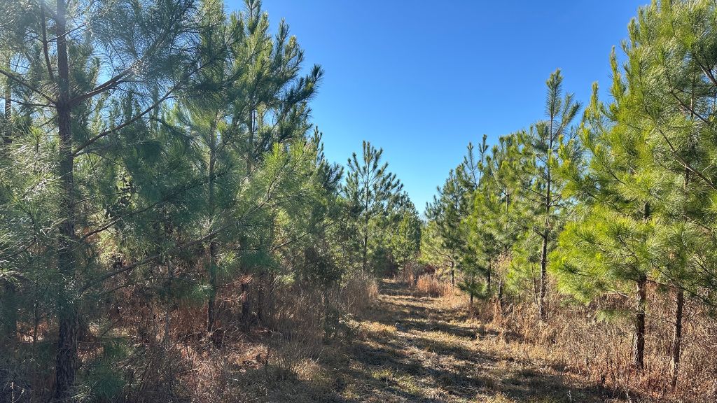 Griffin Landing Photo