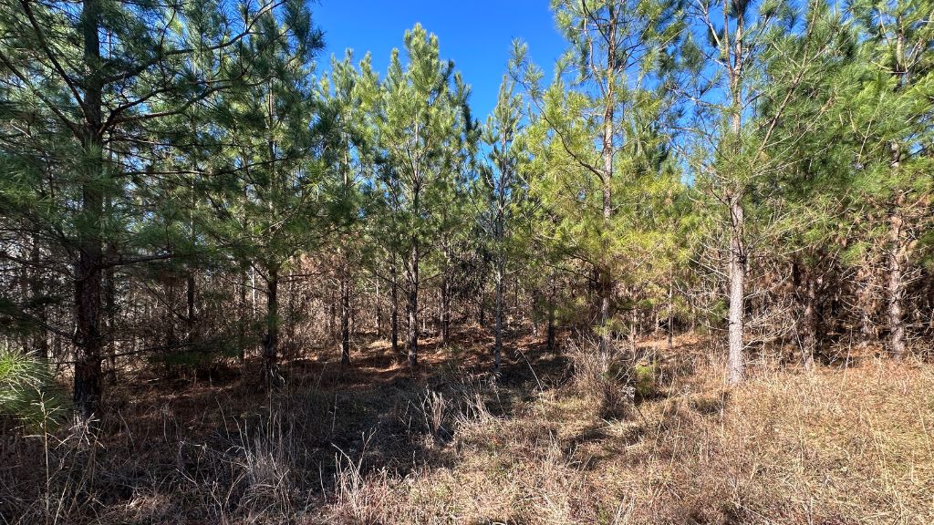 Griffin Landing Photo