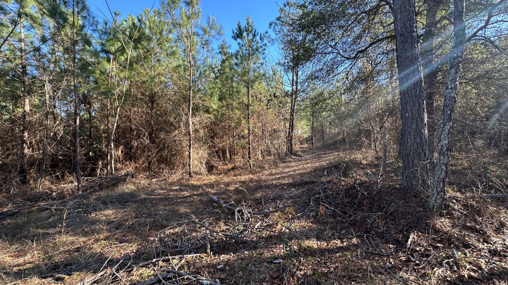 Griffin Landing Photo