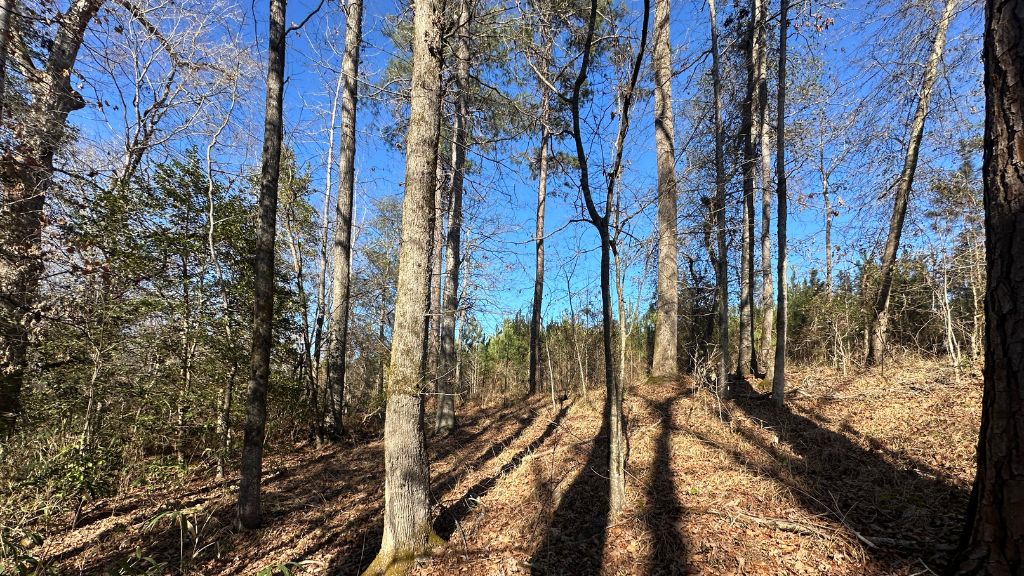 Griffin Landing Photo