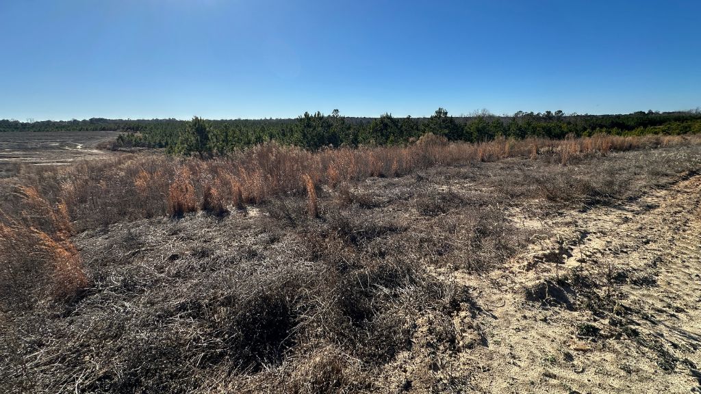 Griffin Landing Photo