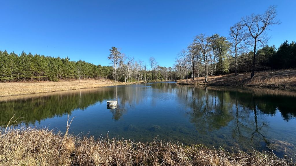 Griffin Landing Photo