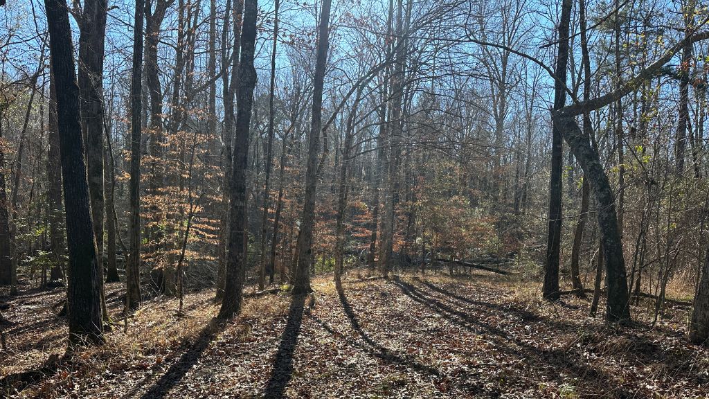 Griffin Landing Photo