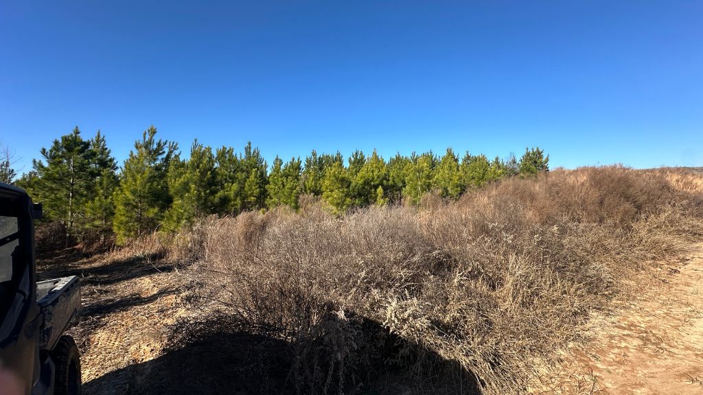 Griffin Landing Photo