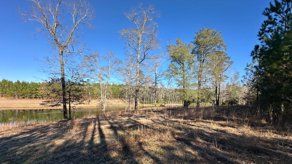 Griffin Landing Photo