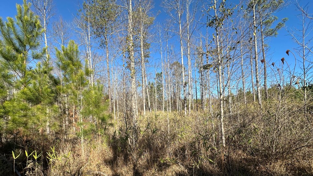 Griffin Landing Photo