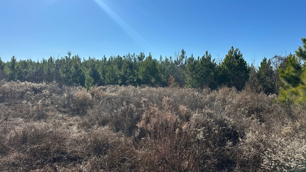 Griffin Landing Photo