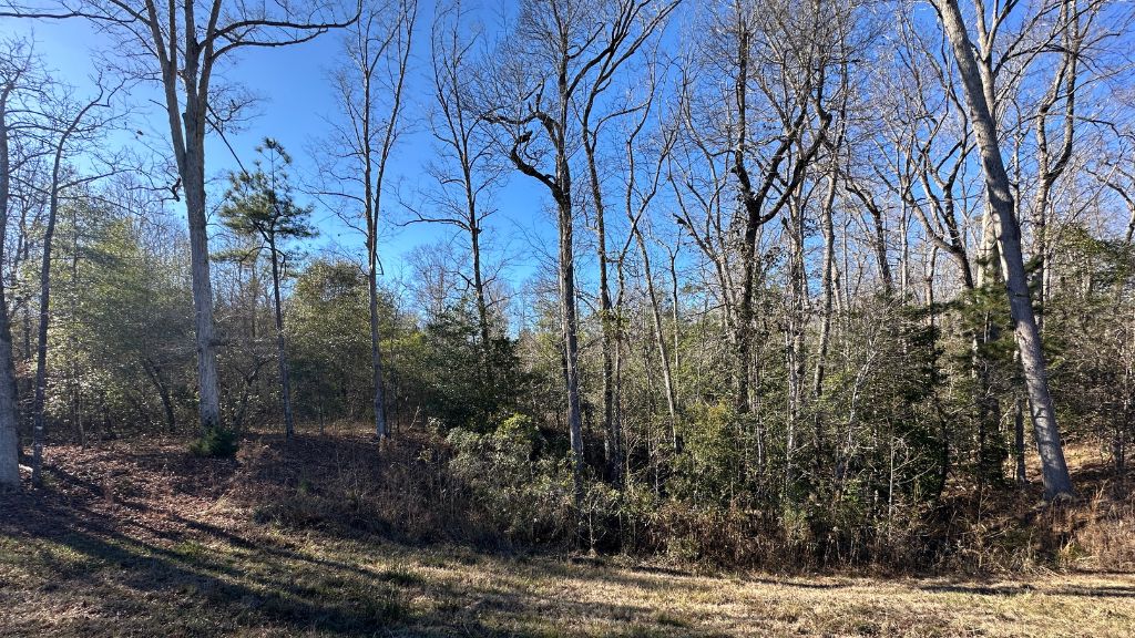 Griffin Landing Photo