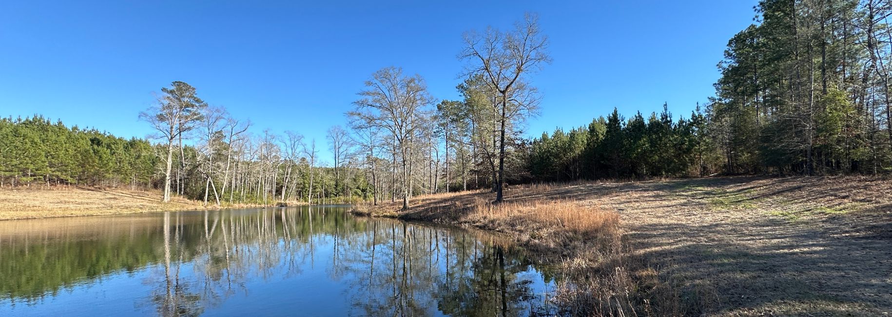 Griffin Landing Main Photo