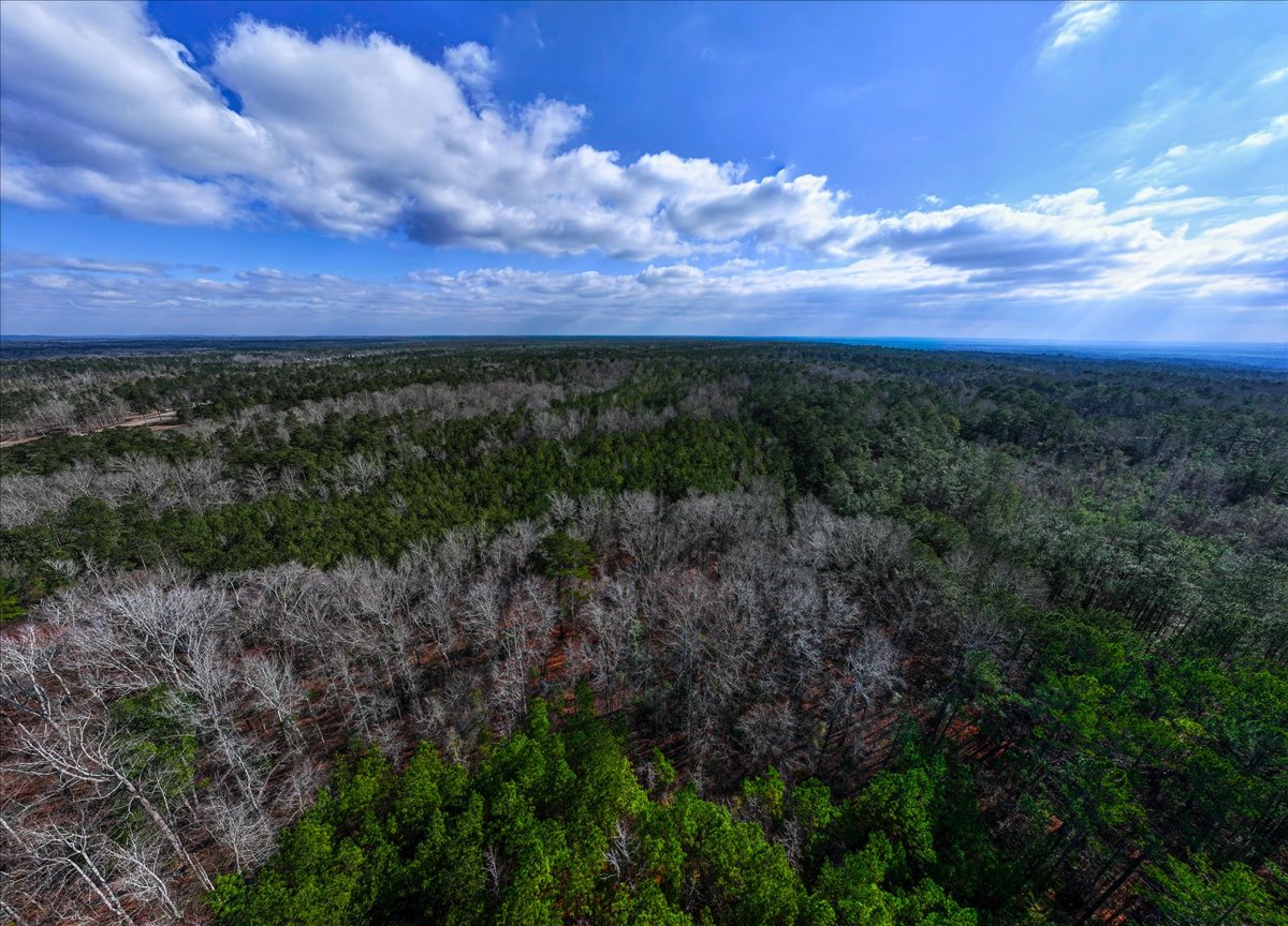 Harris Homestead Photo