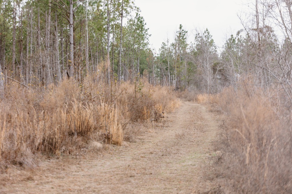 Bunn Store Road Homesite Photo