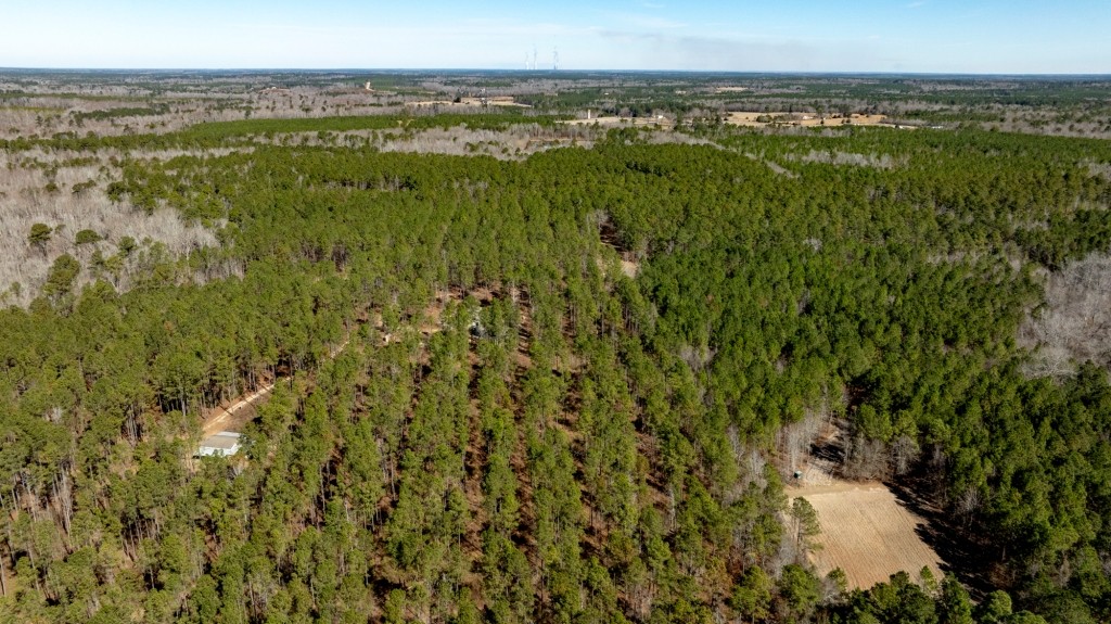 Lighter Knot Farm Photo